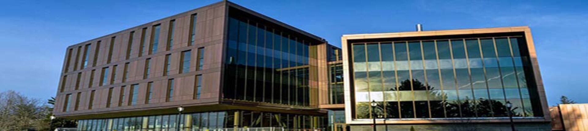 umass amherst design building banner