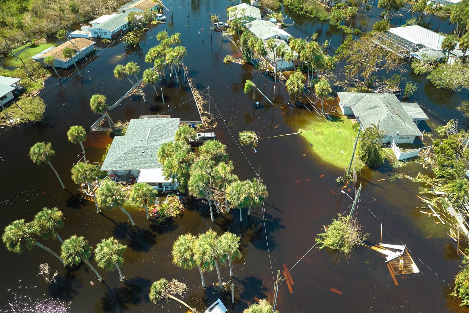 Tools to Manage the True Extent of Disaster Recovery