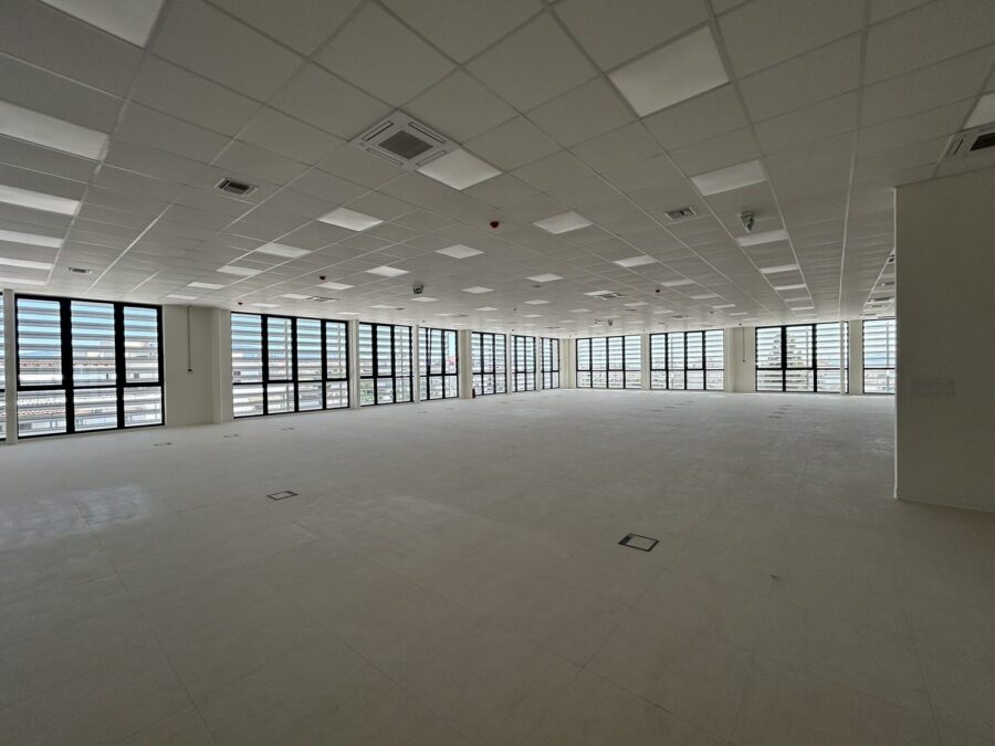 Nexis Metamorfosi